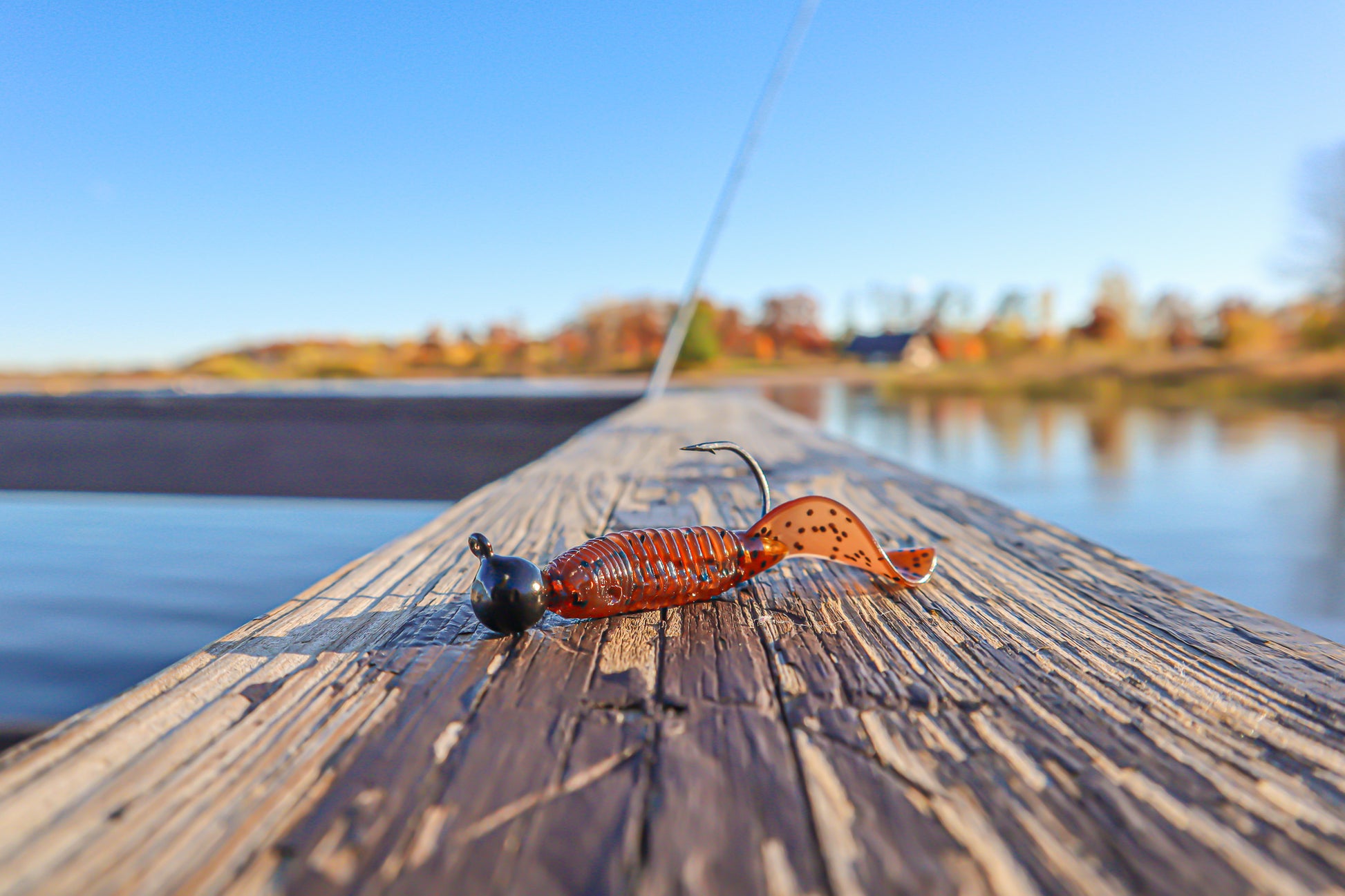 Gifted Grub.jpg__PID:47ed656d-8573-4646-856f-7810e683d263